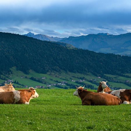 Ferienwohnung Bergpfote - Hund Herzlich Willkommen Scheidegg Exterior foto